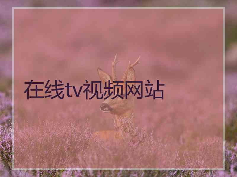 在线tv视频网站