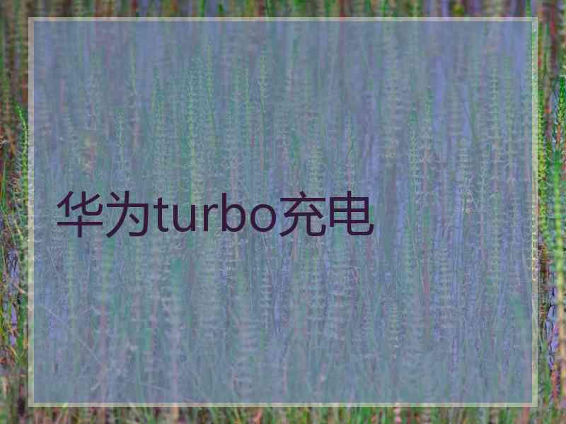 华为turbo充电