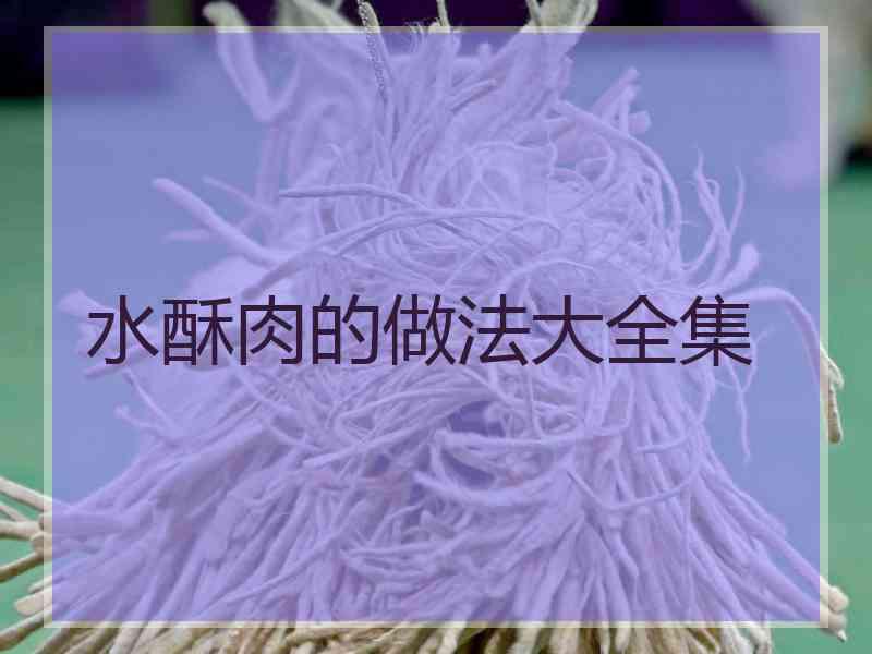 水酥肉的做法大全集