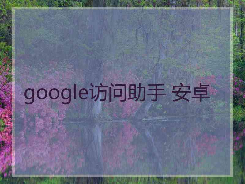 google访问助手 安卓