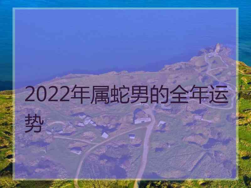 2022年属蛇男的全年运势