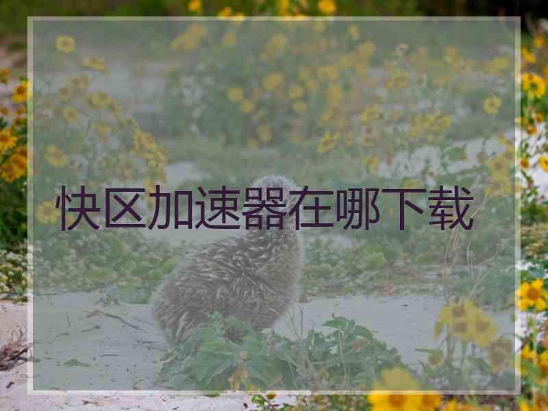 快区加速器在哪下载
