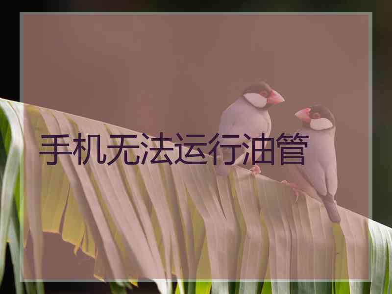 手机无法运行油管