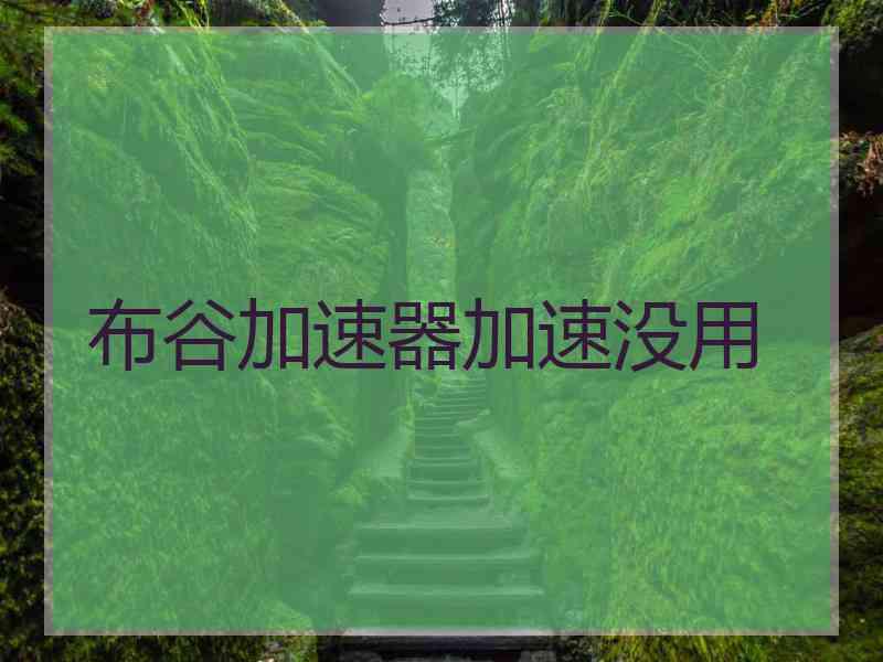 布谷加速器加速没用