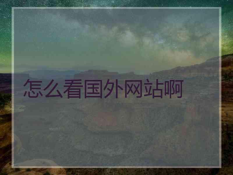 怎么看国外网站啊