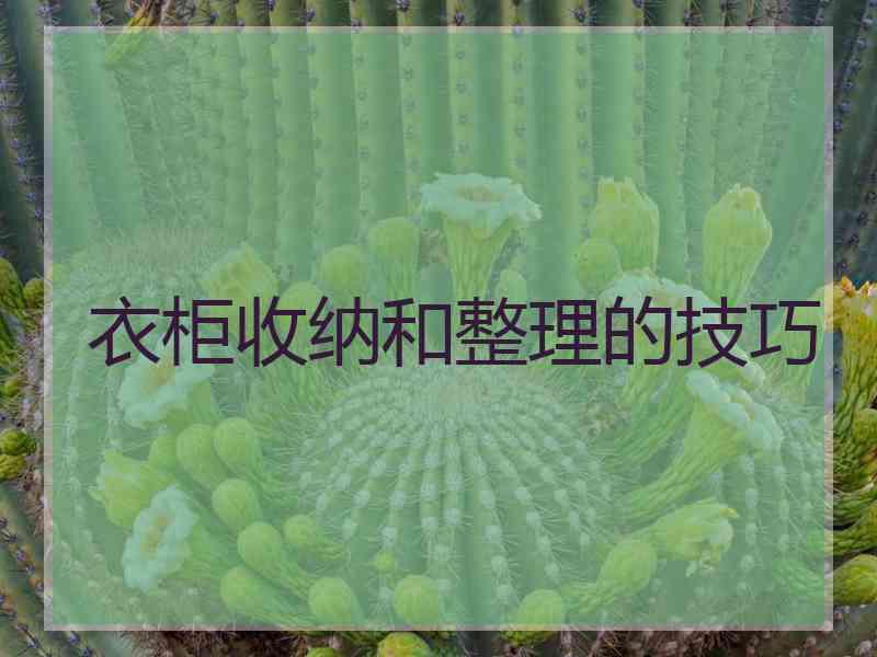 衣柜收纳和整理的技巧