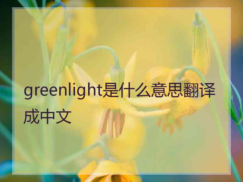 greenlight是什么意思翻译成中文