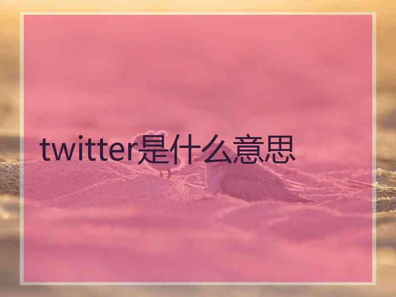 twitter是什么意思
