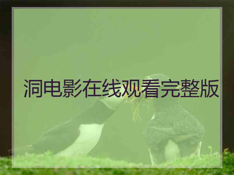 洞电影在线观看完整版