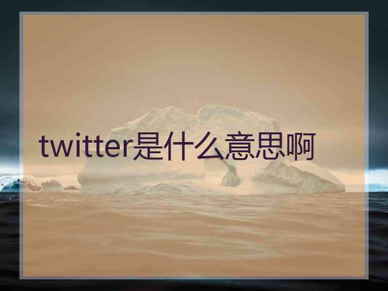 twitter是什么意思啊