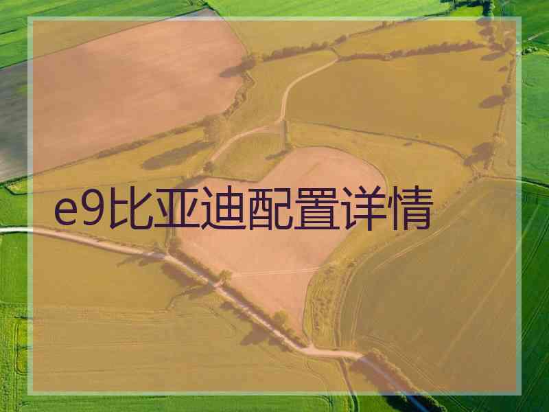 e9比亚迪配置详情