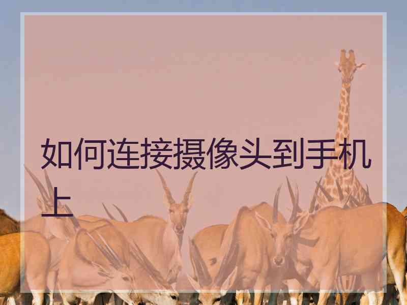 如何连接摄像头到手机上