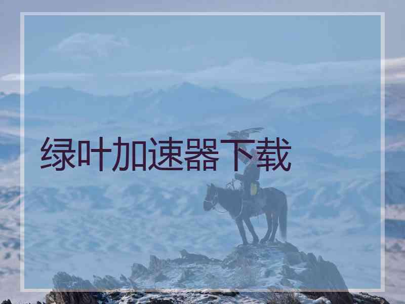 绿叶加速器下载