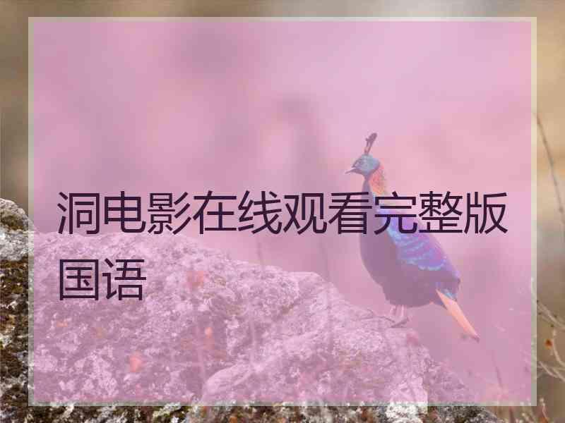 洞电影在线观看完整版国语