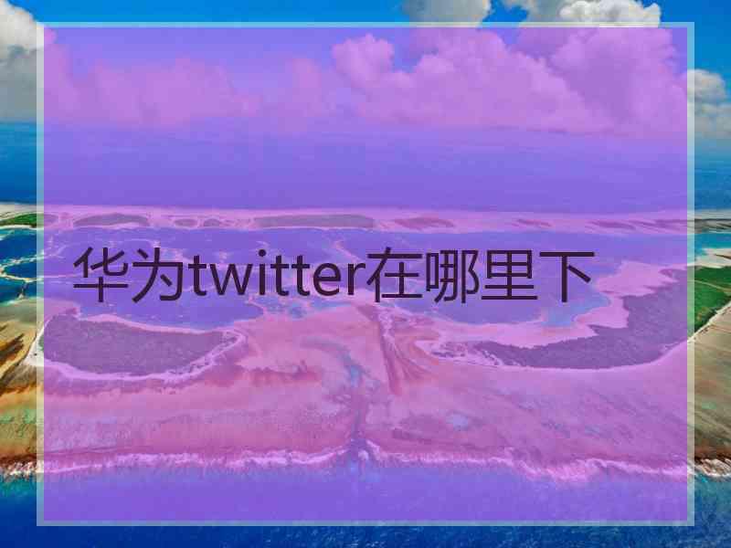 华为twitter在哪里下