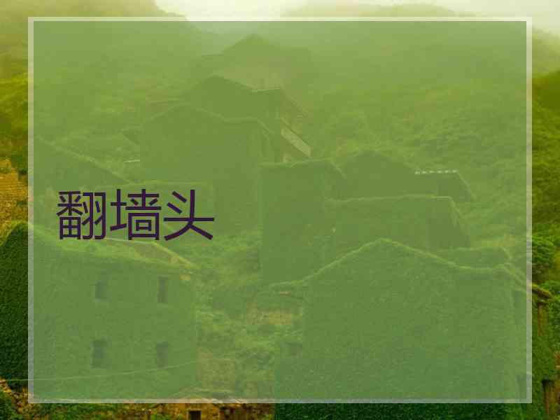 翻墙头