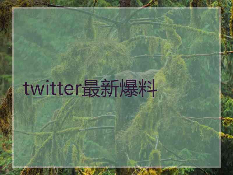 twitter最新爆料