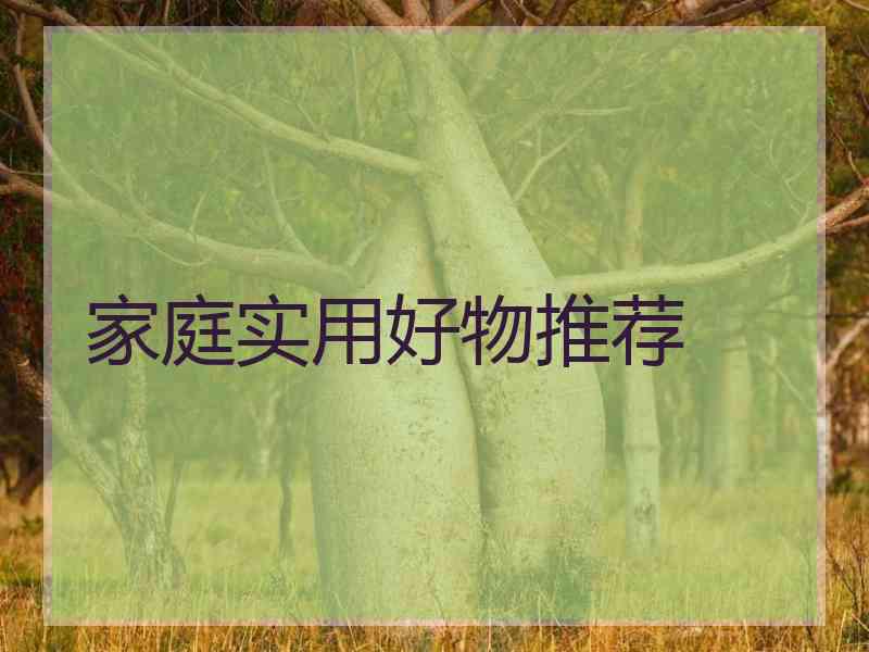 家庭实用好物推荐