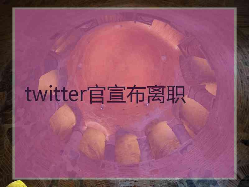 twitter官宣布离职