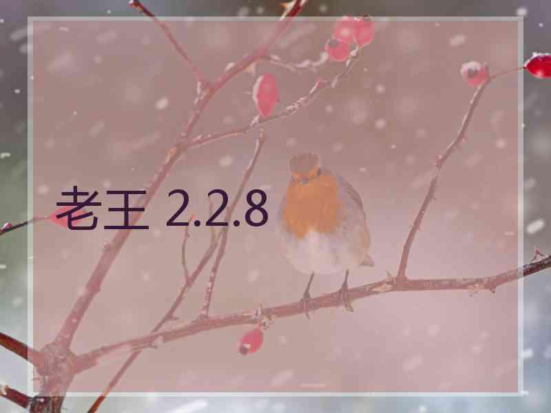 老王 2.2.8
