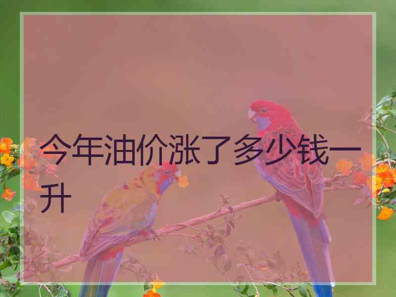 今年油价涨了多少钱一升