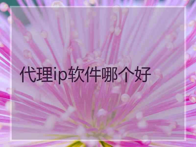 代理ip软件哪个好