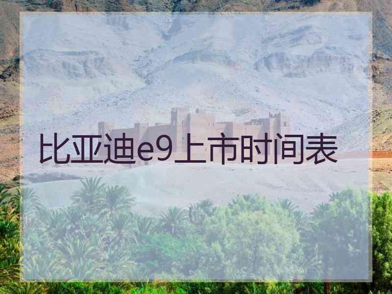 比亚迪e9上市时间表