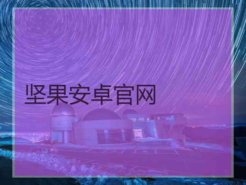 坚果安卓官网