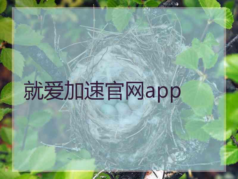 就爱加速官网app