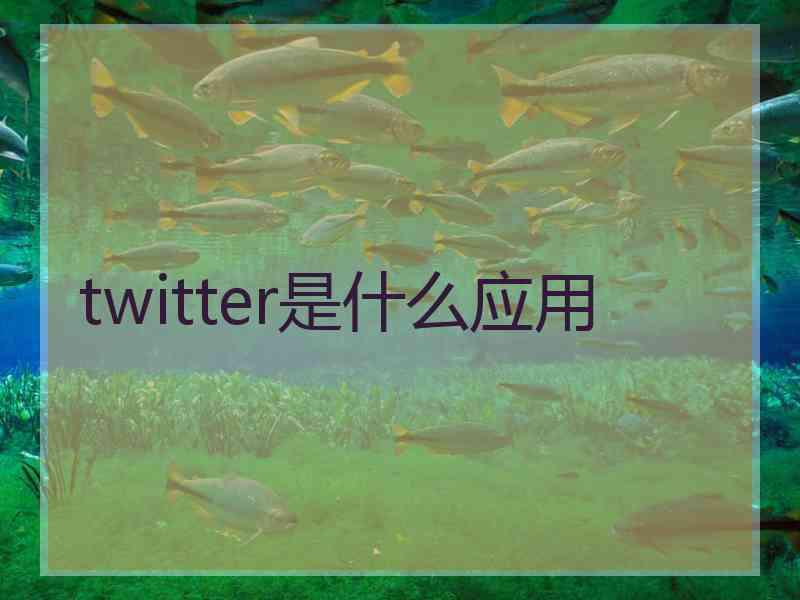 twitter是什么应用