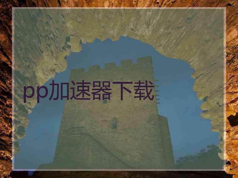pp加速器下载