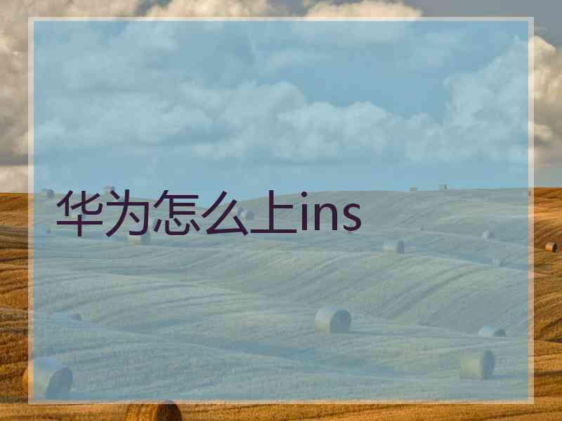 华为怎么上ins