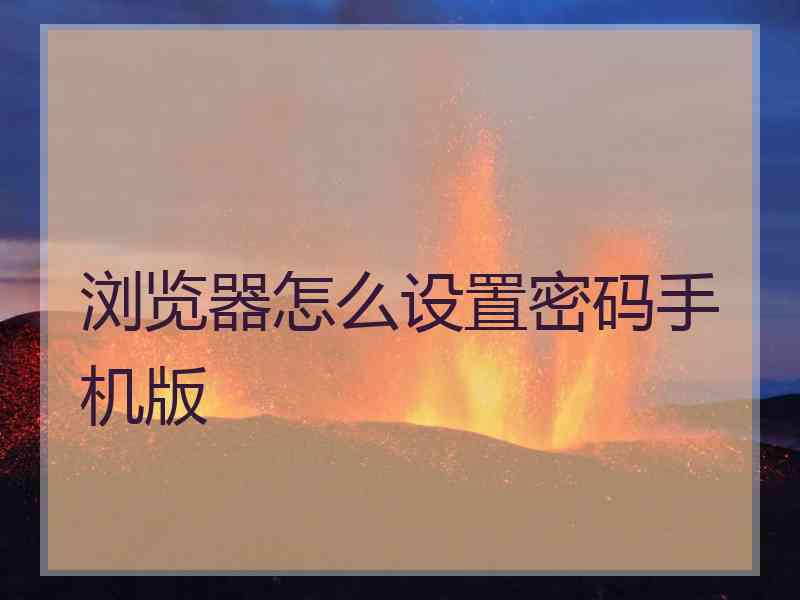 浏览器怎么设置密码手机版