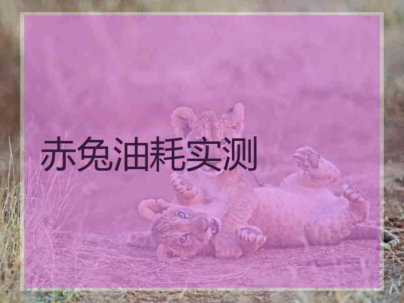赤兔油耗实测
