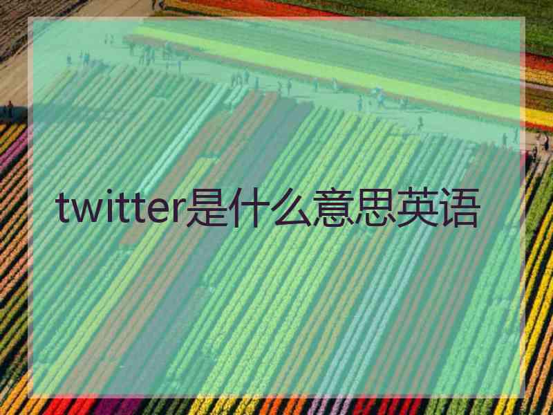 twitter是什么意思英语