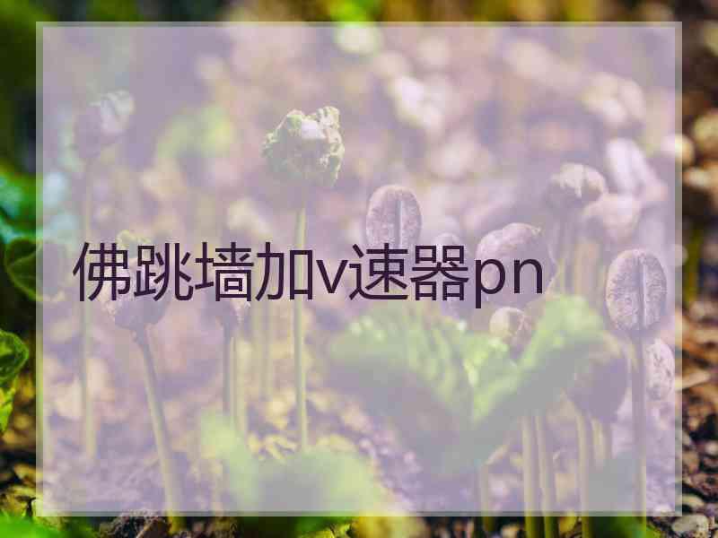 佛跳墙加v速器pn