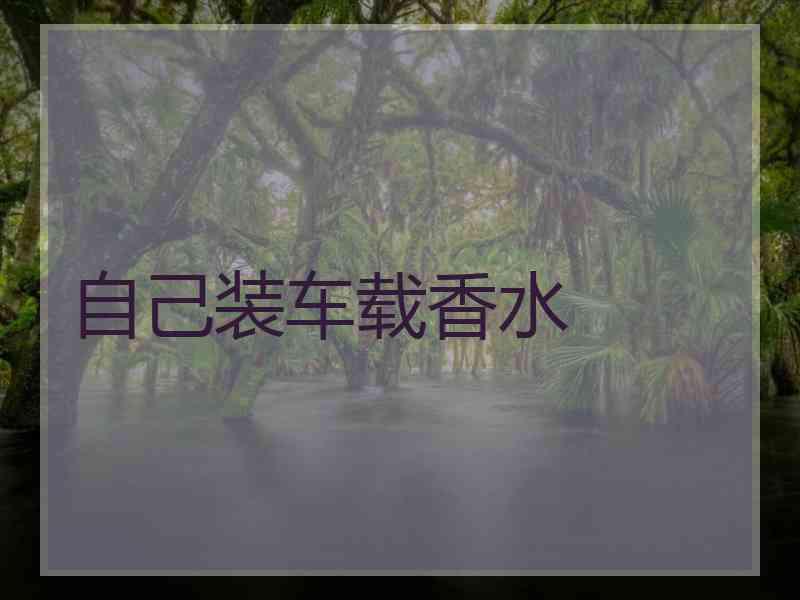 自己装车载香水