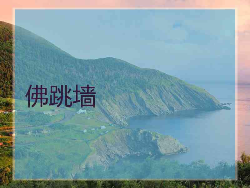 佛跳墙