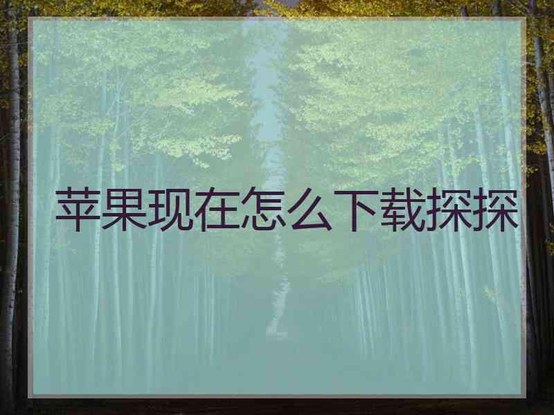 苹果现在怎么下载探探