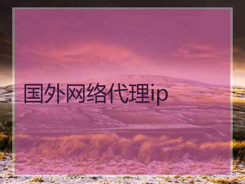 国外网络代理ip