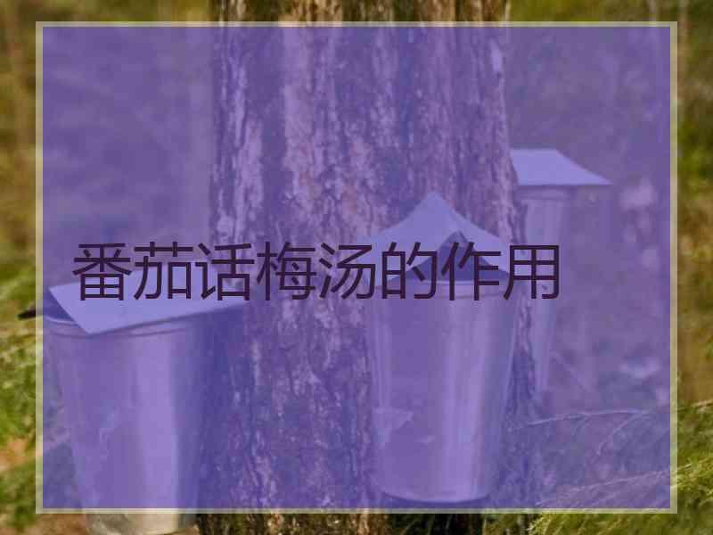 番茄话梅汤的作用
