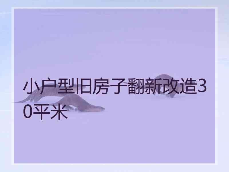 小户型旧房子翻新改造30平米
