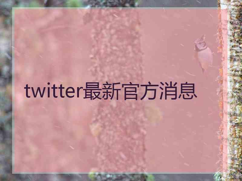 twitter最新官方消息