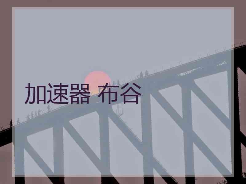 加速器 布谷