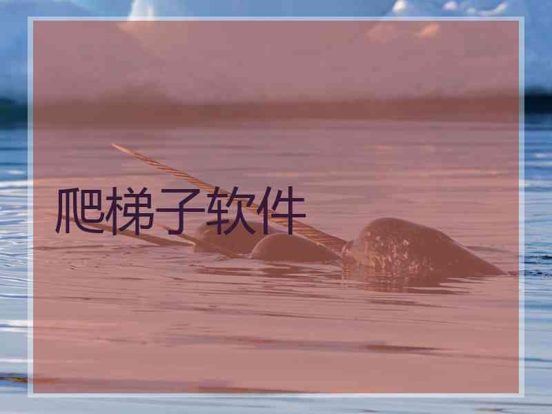 爬梯子软件