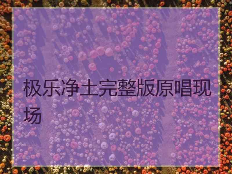 极乐净土完整版原唱现场