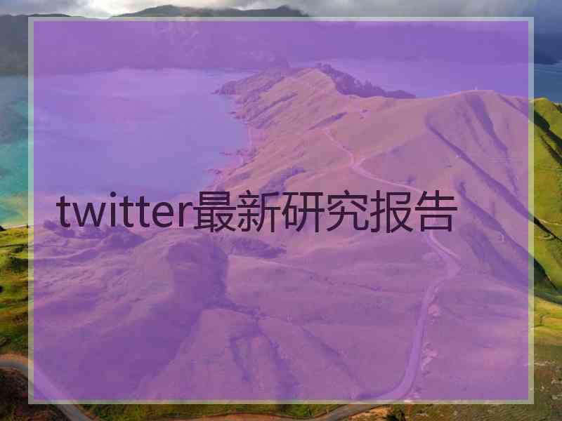 twitter最新研究报告