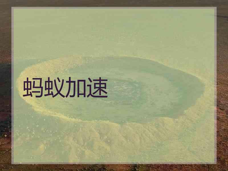 蚂蚁加速