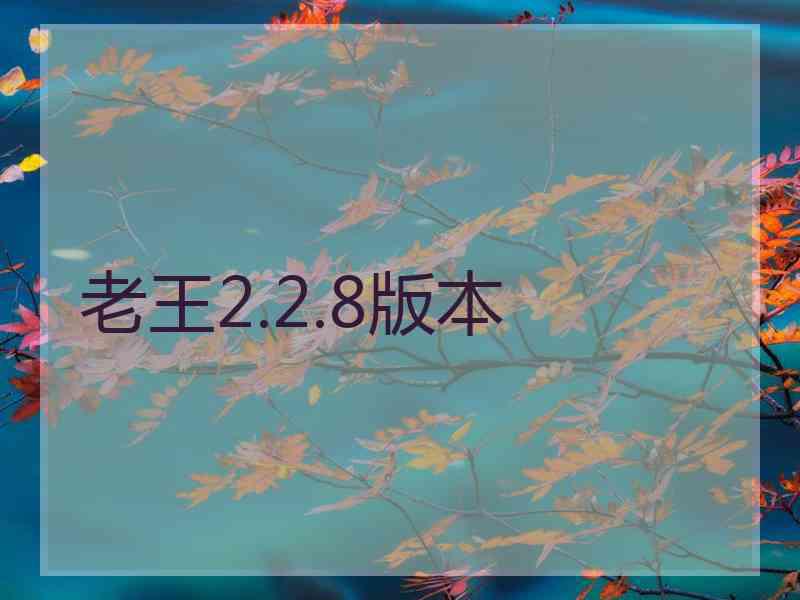 老王2.2.8版本