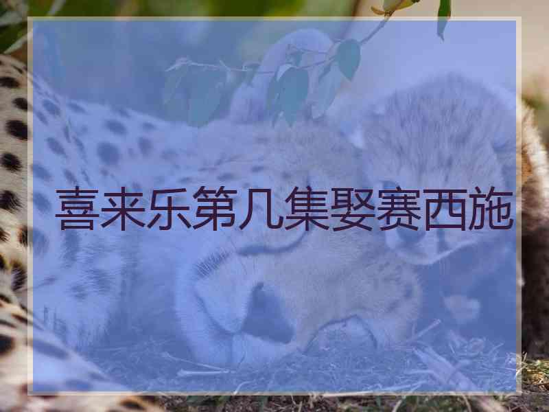 喜来乐第几集娶赛西施
